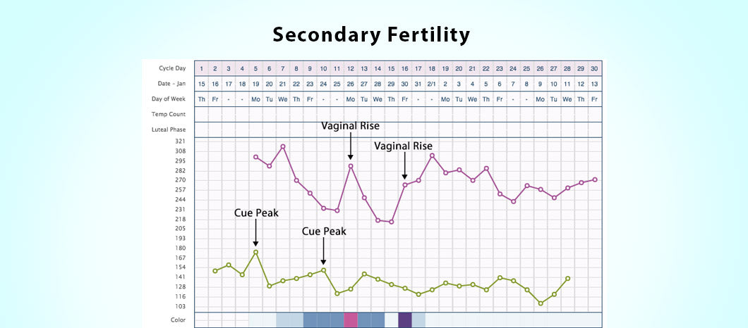 Using cervical mucus charting to tell the best time to get pregnant