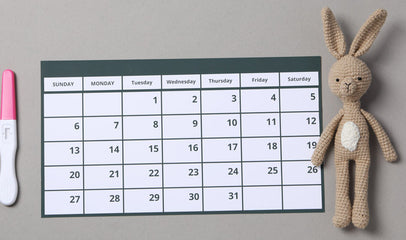 fertility calendar