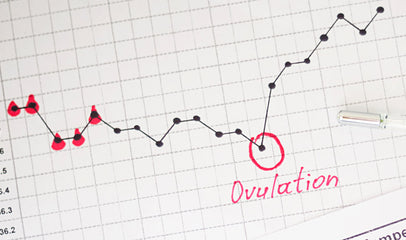 fertility charting to pinpoint ovulation