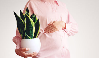 pregnant woman holding a plant