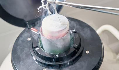 freezing of egg embryos