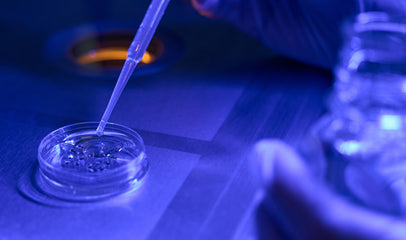 invitro fertilization process in a lab