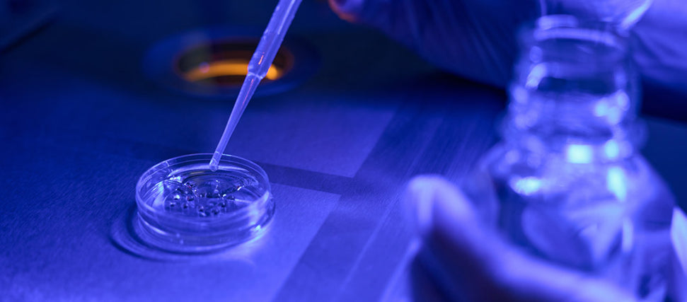 invitro fertilization process in a lab