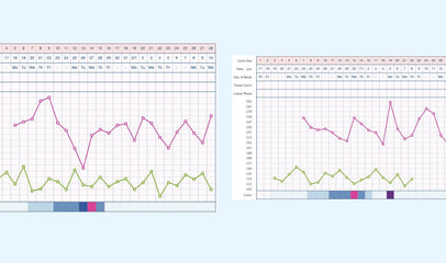 Ovagraph fertility chart sample