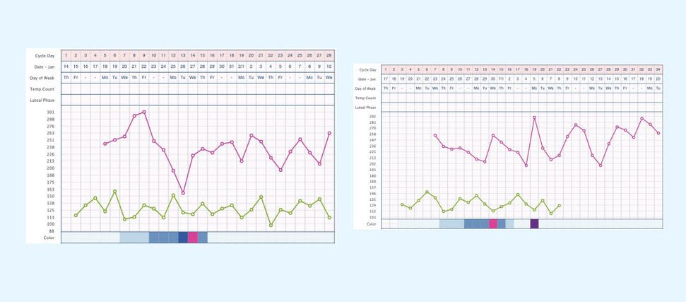 Ovagraph fertility chart sample