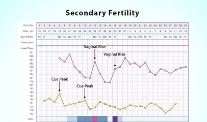 secondary fertility chart