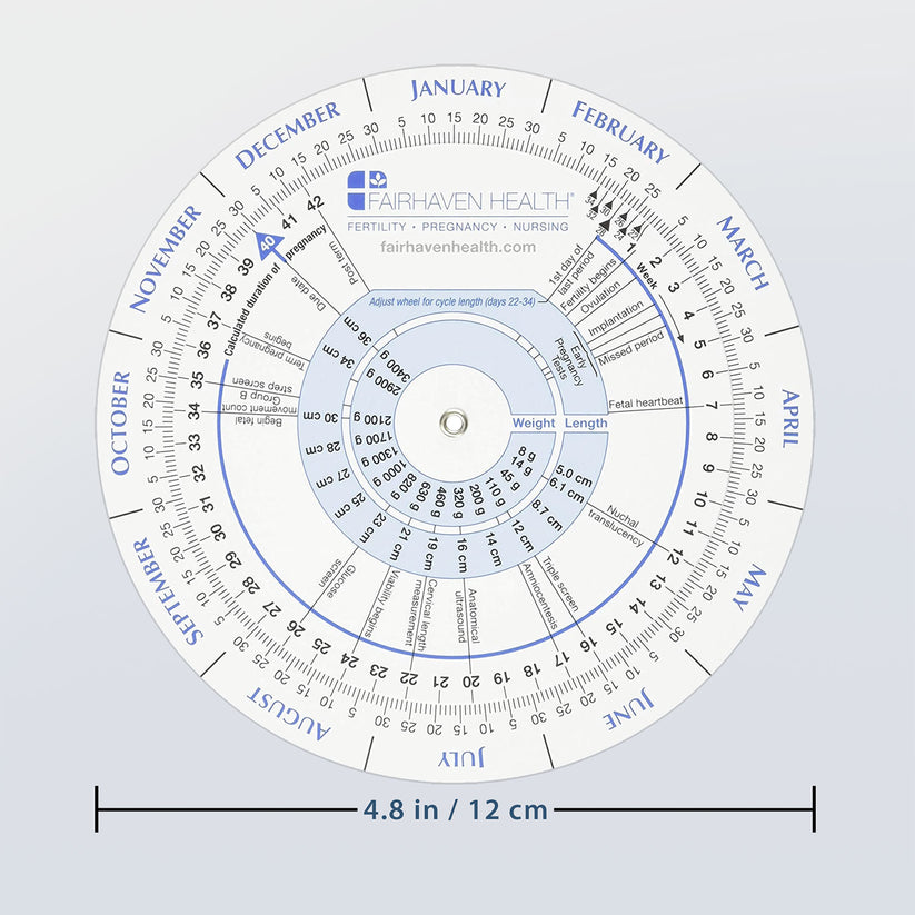 ovulation calendar and pregnancy wheel measurements