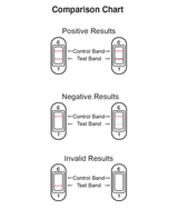 Ovulation Comparison Chart for Positive, Negative, and Invalid Results