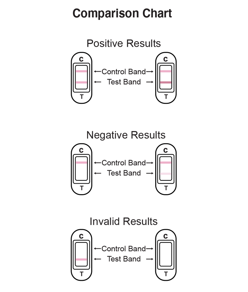 Ovulation Comparison Chart for Positive, Negative, and Invalid Results